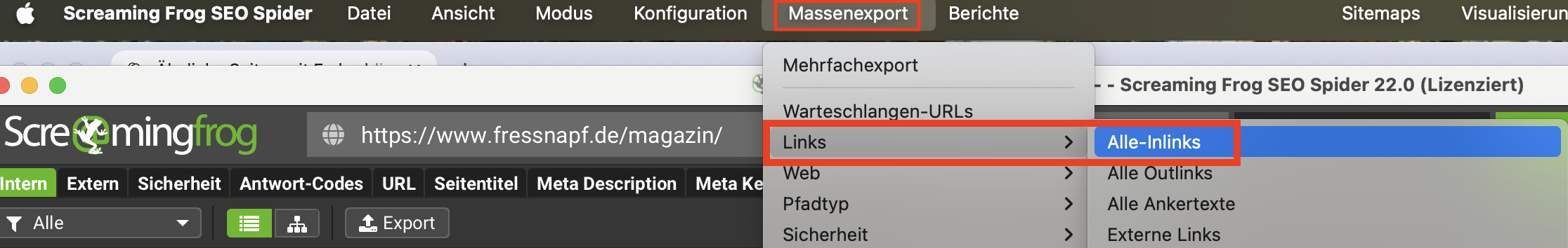 Screenshot Export All-Inlinks im Screaming Frog