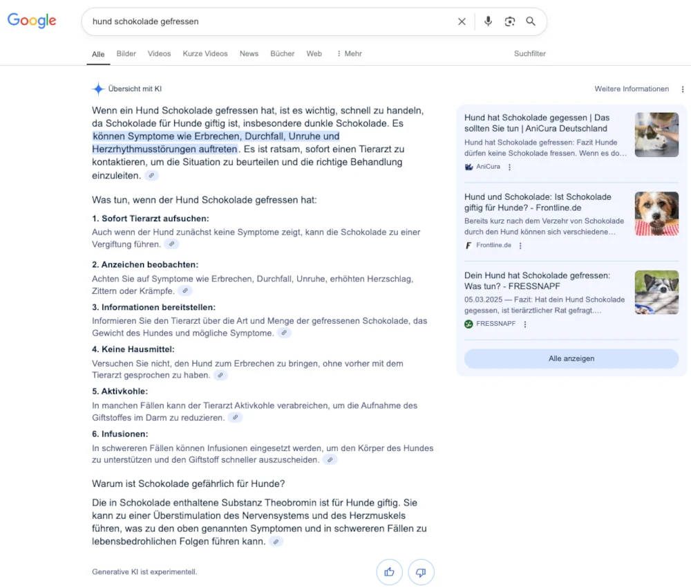 Beispiel Screenshot AI Overview für 