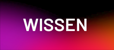 <br><strong>Internationale SEO: Warum globale Sichtbarkeit ohne lokale Optimierung nicht funktioniert</strong><br><br><i>Daniel Kremer</i>